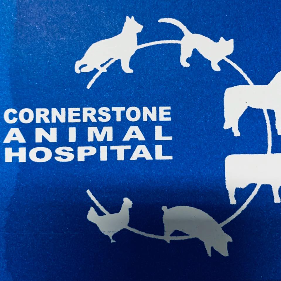 cornerstone vet